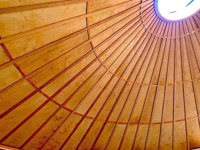 Birch Laminate Ceiling Panels