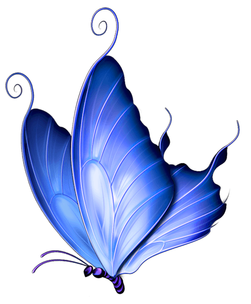 pngwing.com-a5912ece